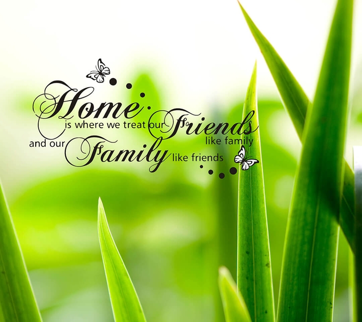 story of friends