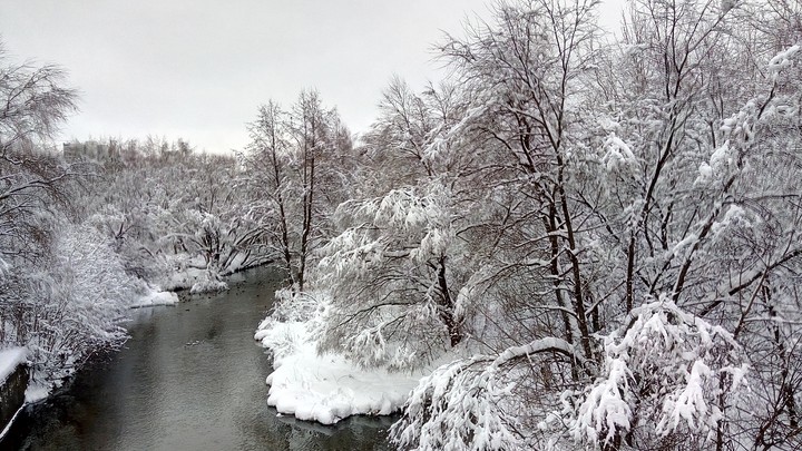 Winter