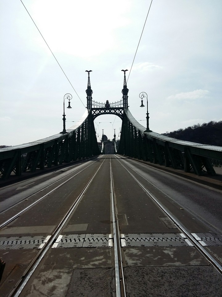 middle of the road
