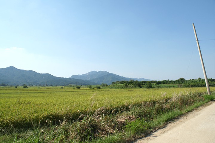 Village