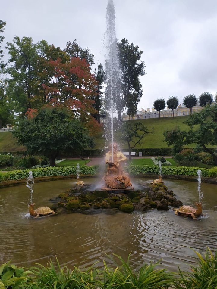 Beautiful fountain near the palace in Spb