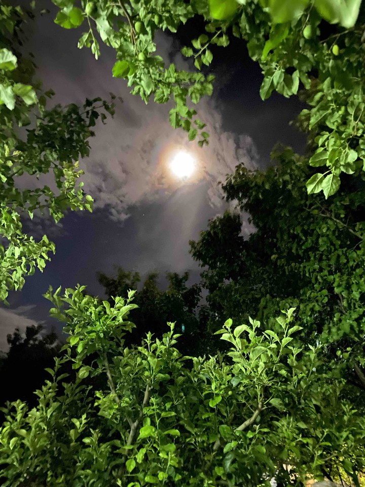 Moon ?