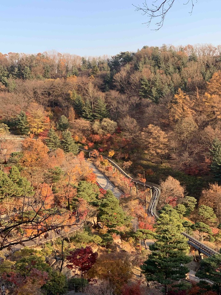 Autumnal