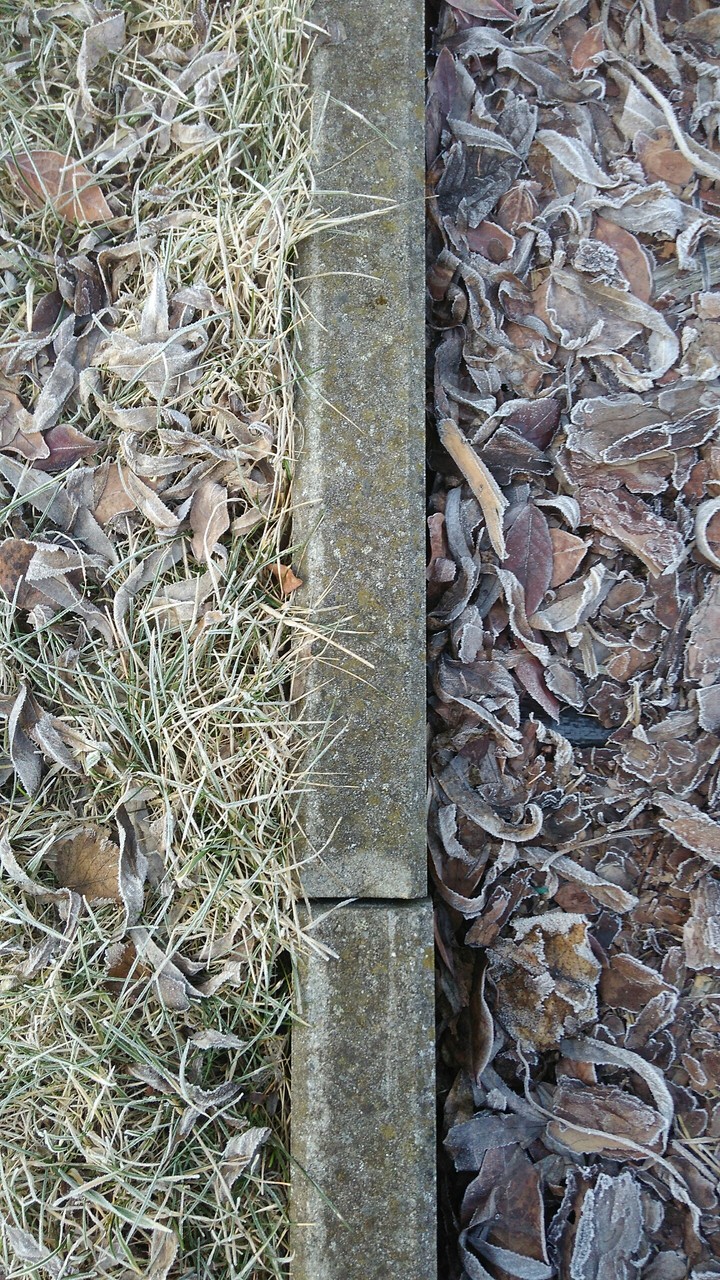 cold morning- border