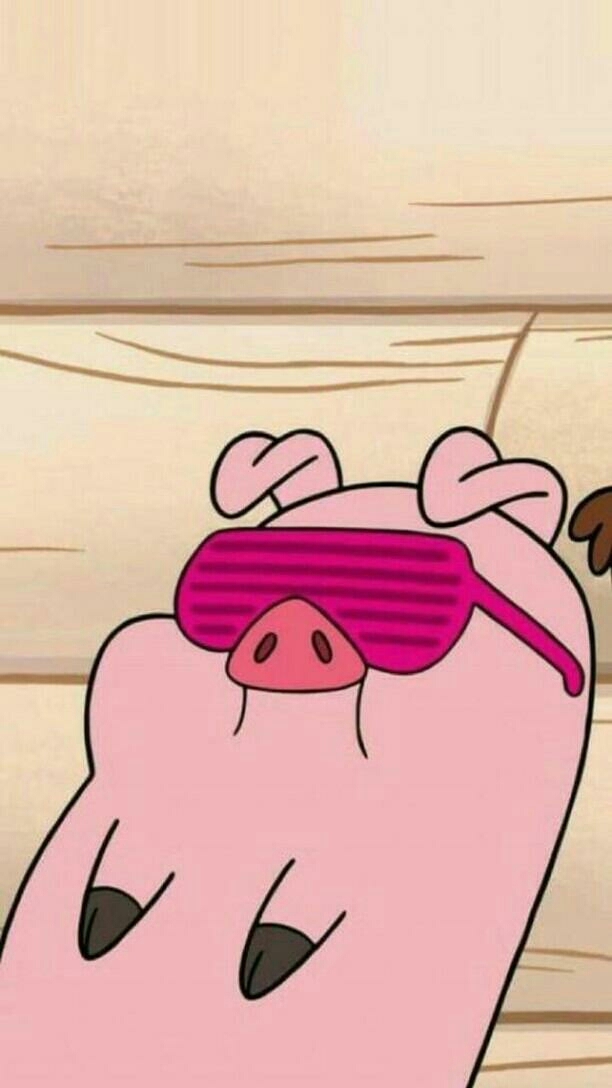 свинья, pig