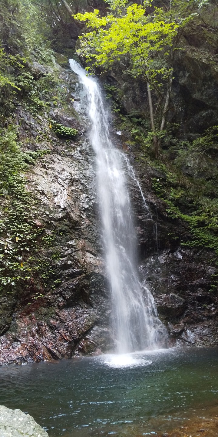 Falls