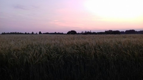 романтика