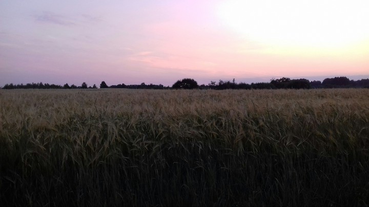 романтика