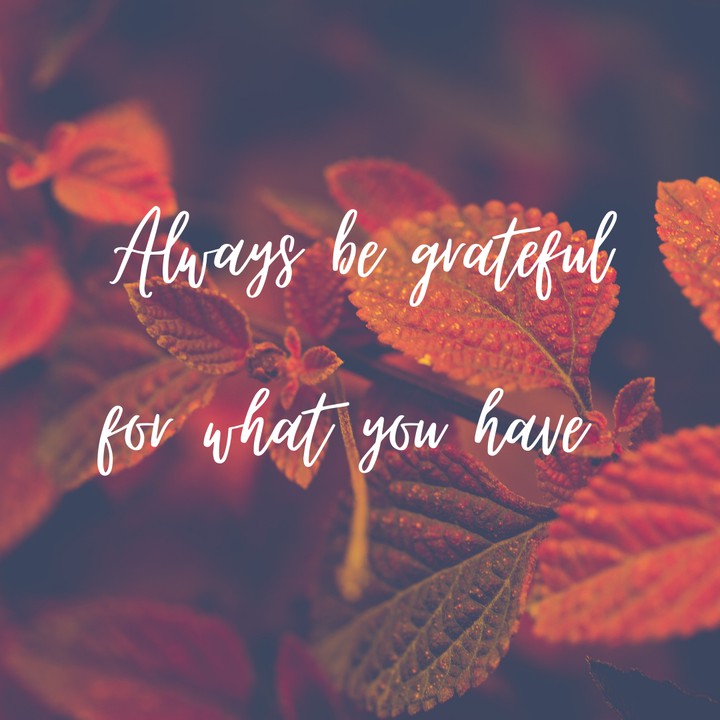 quotes