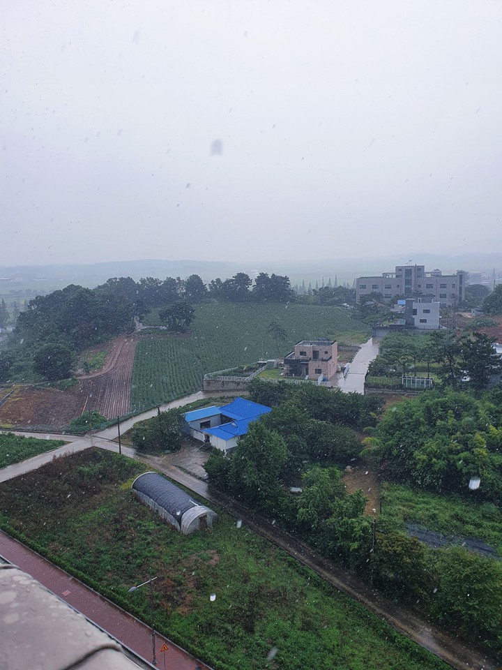 rain