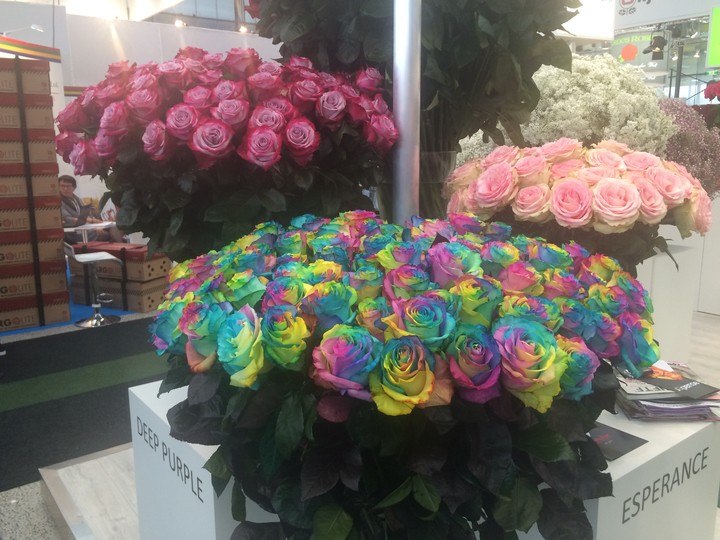 Roses