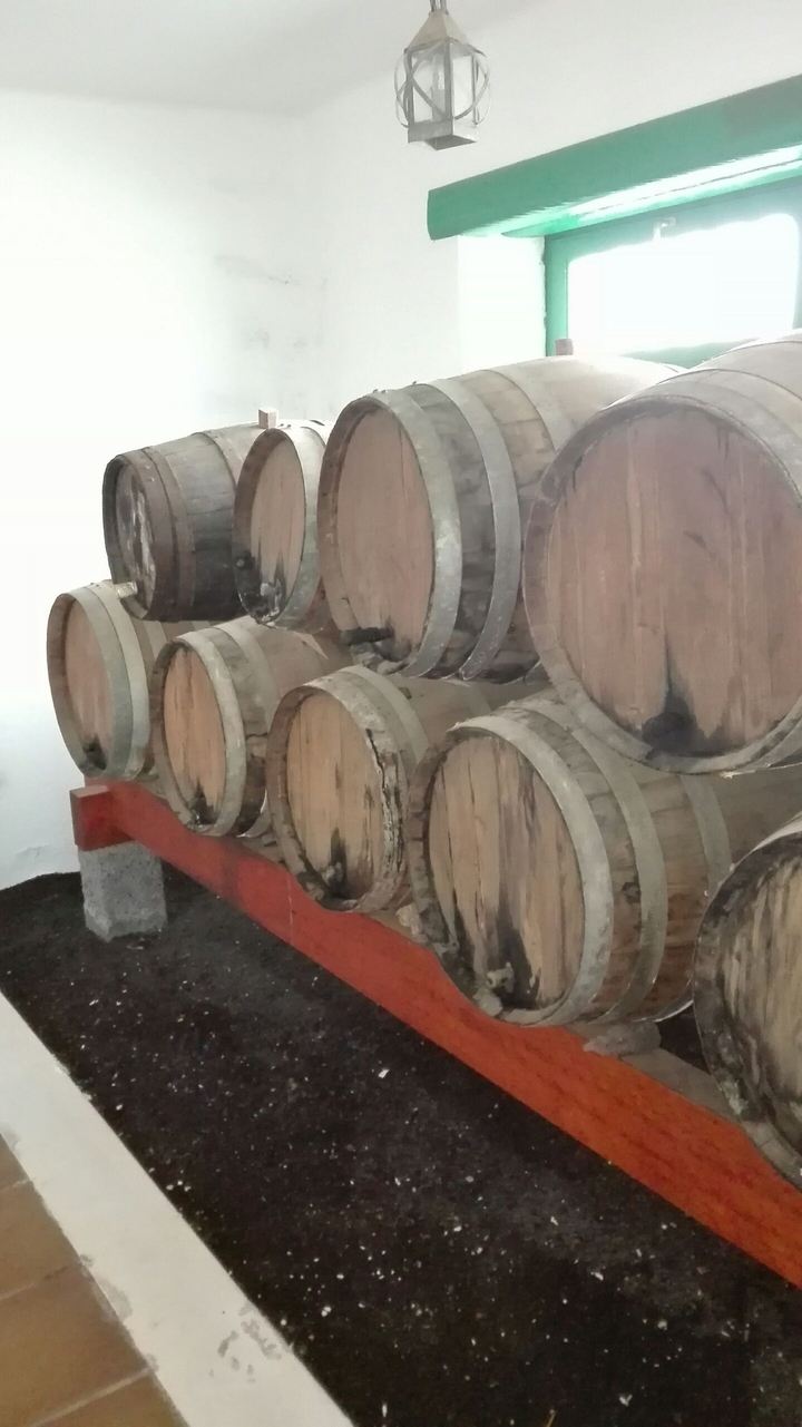 Barrels for wine