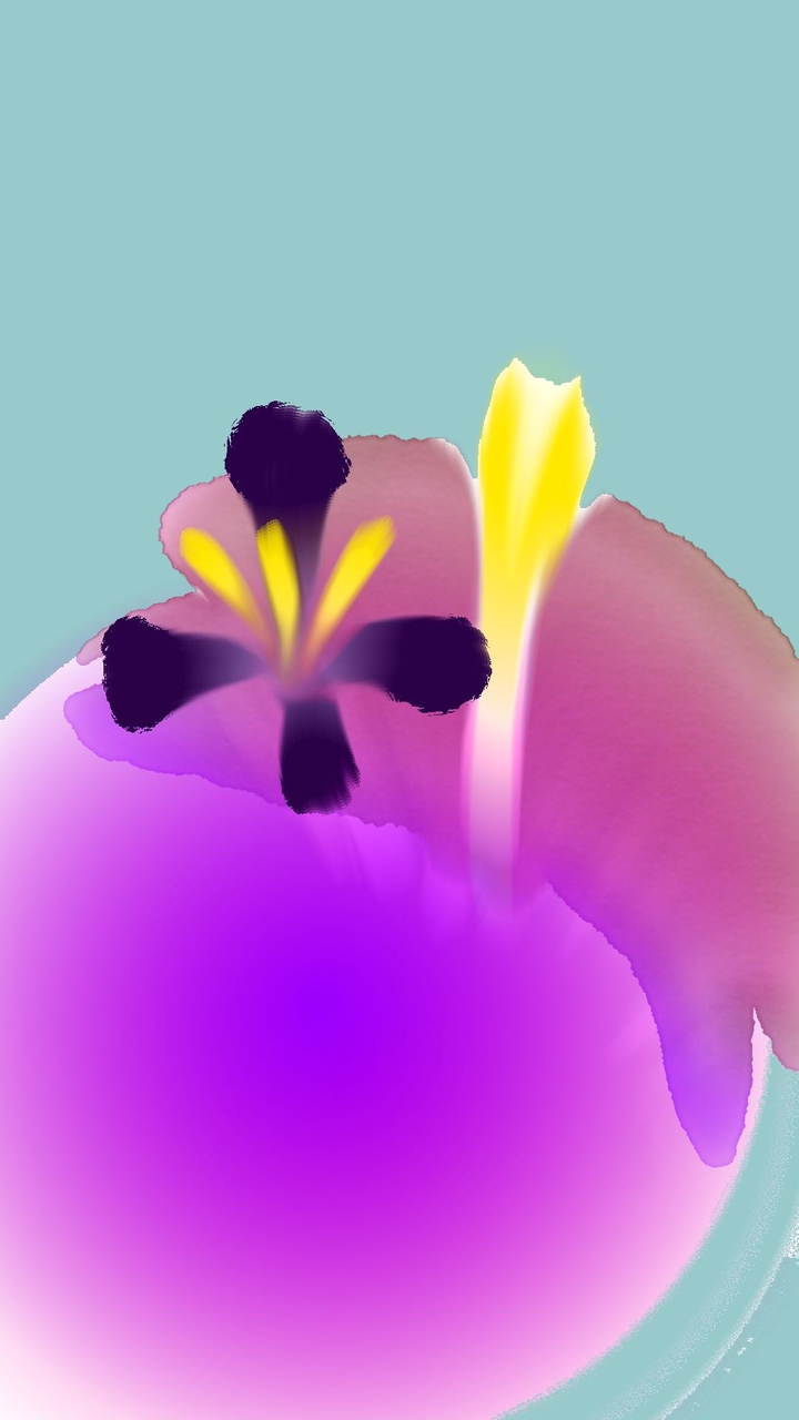 flower and pond