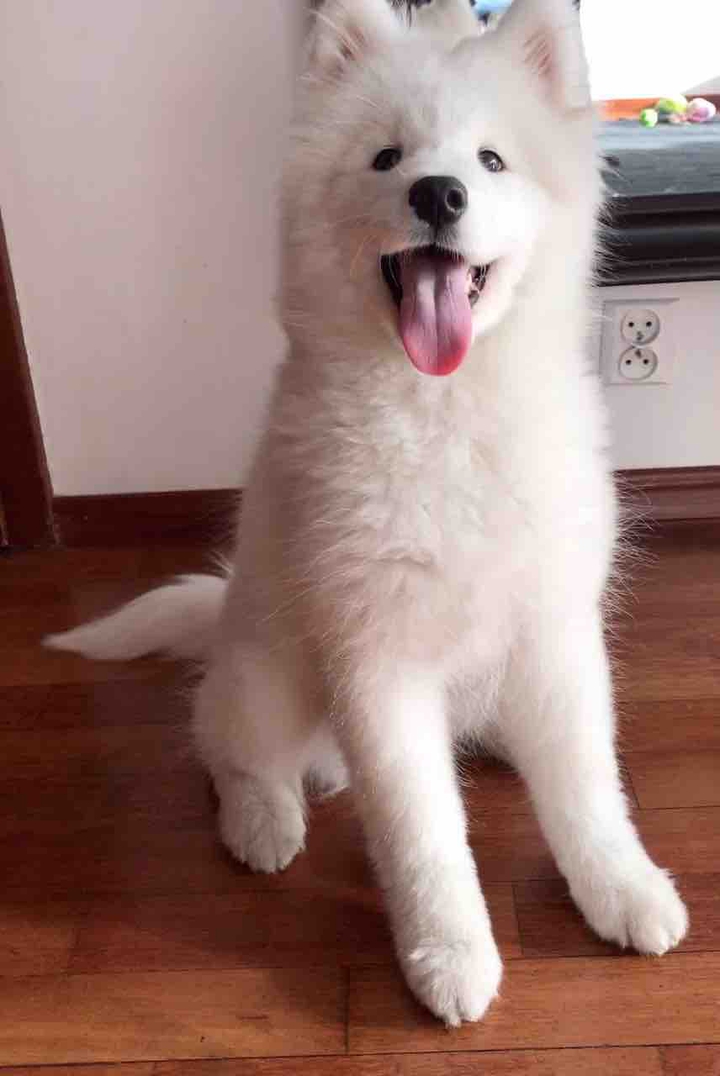 Snacks please