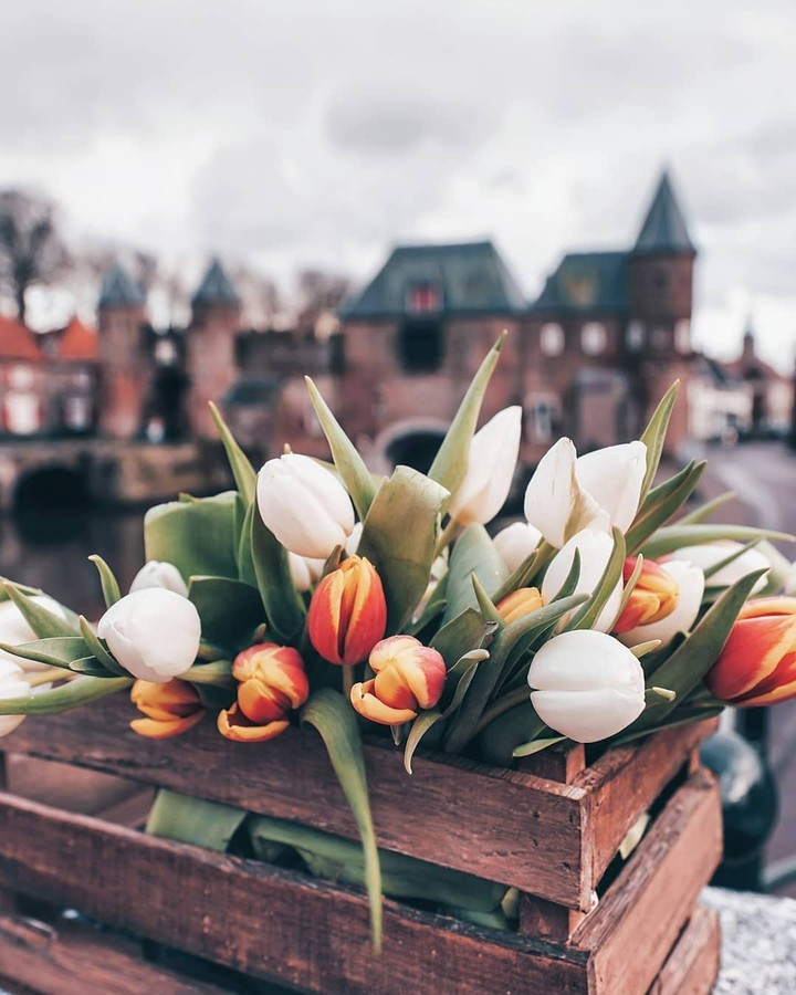 Amsterdam, Netherlands