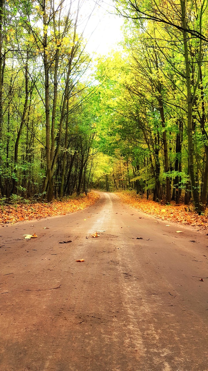 Road
