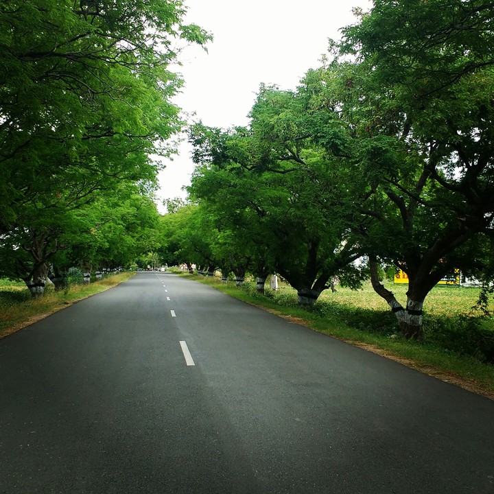 Road to heaven.