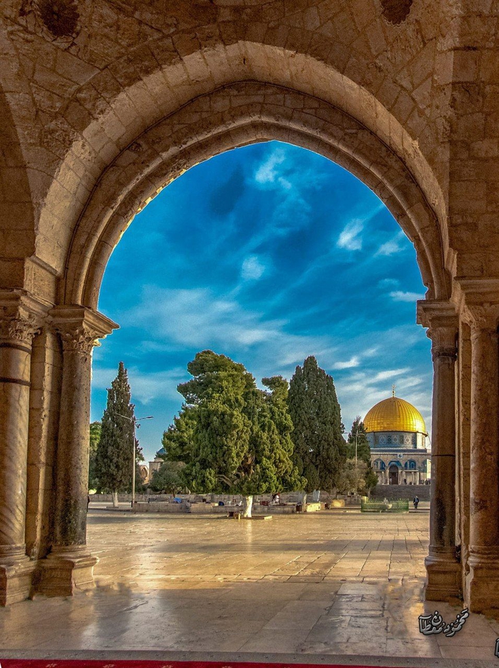 free palestine