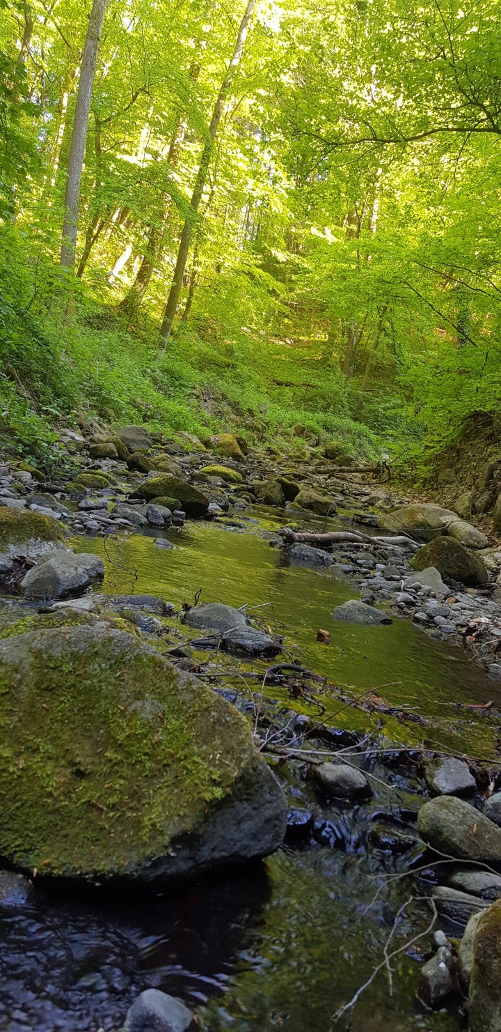 creek