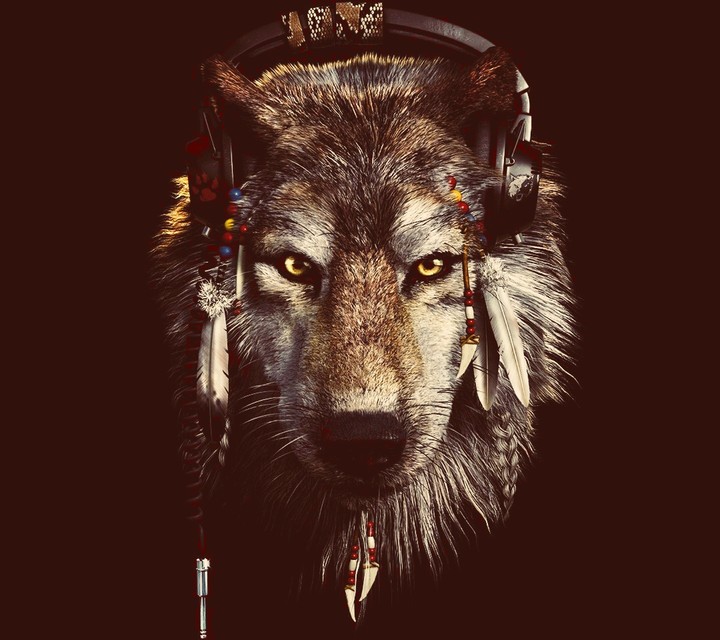 wolf
