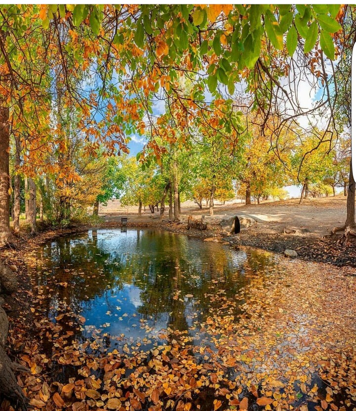 fall in Khansar