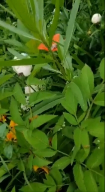 Nature ❤️