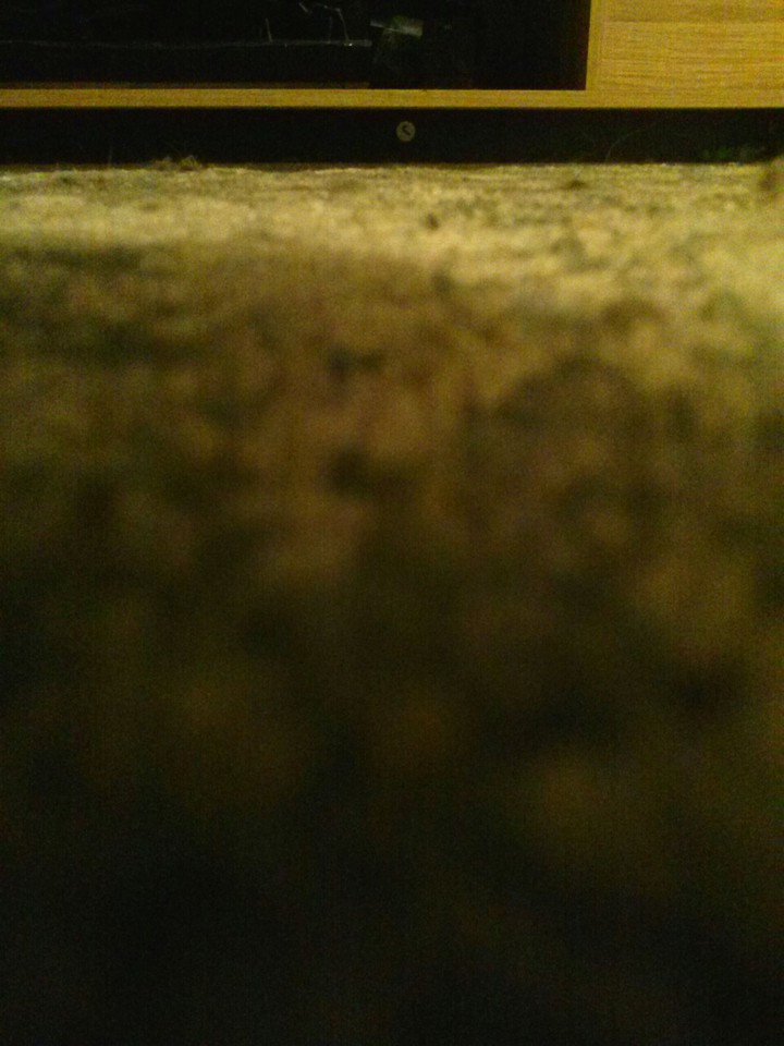 upside down pic