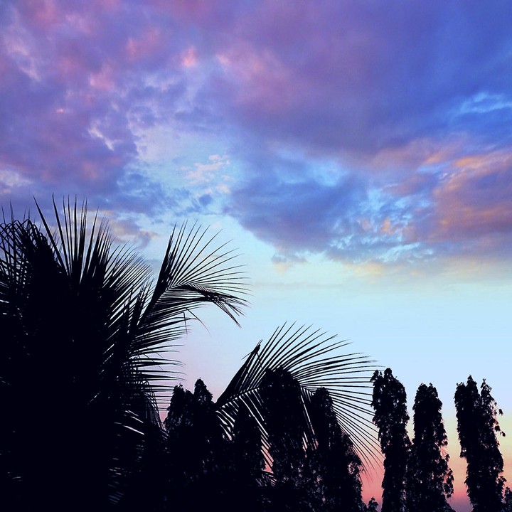 Nature's Gift In India