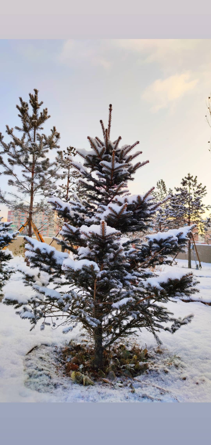 winter