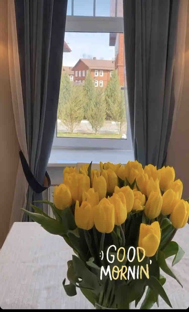 тюльпаны, букет, желтый
