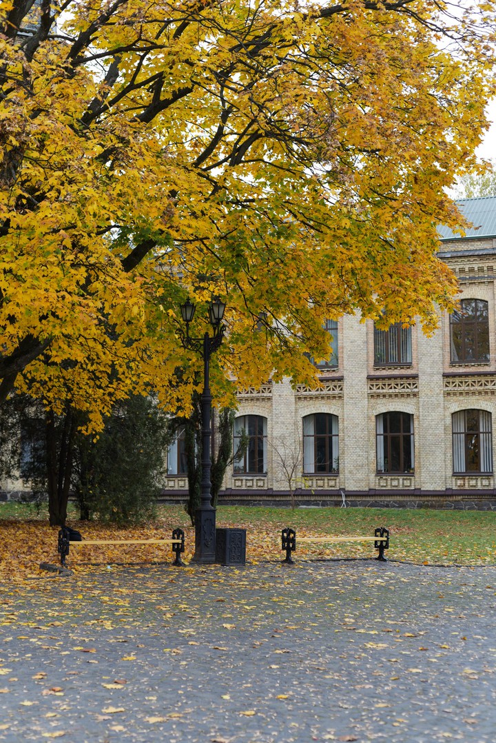 amazing autumn