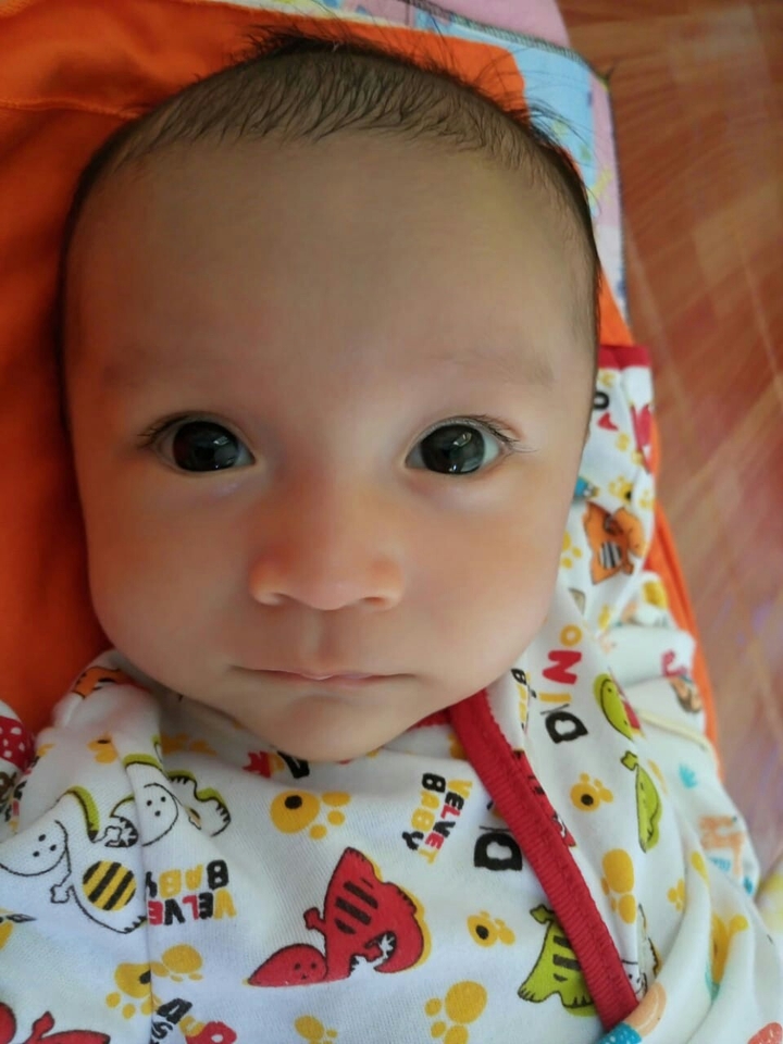 josh
