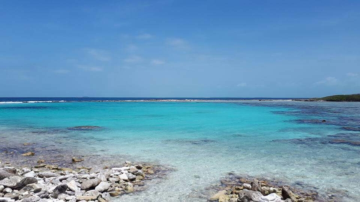 Los roques