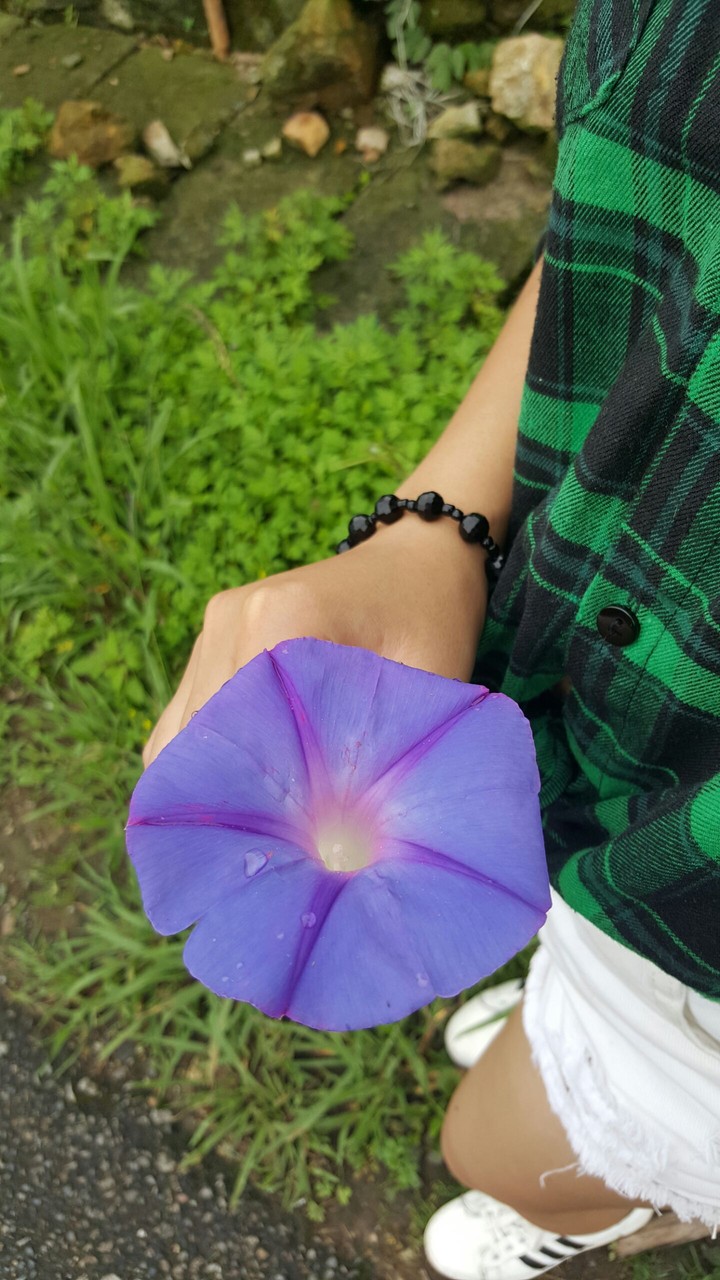 2 flowers