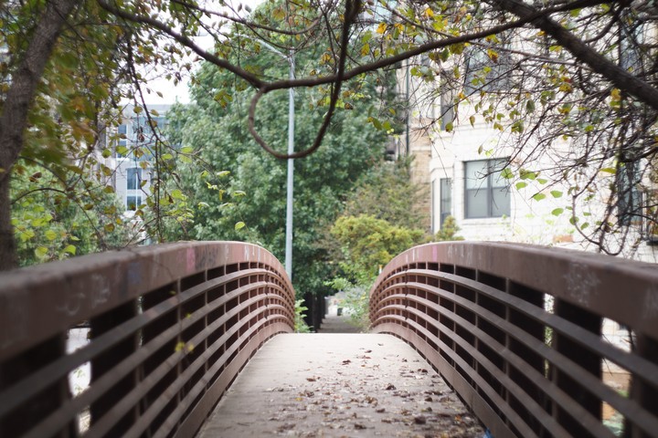 bridge