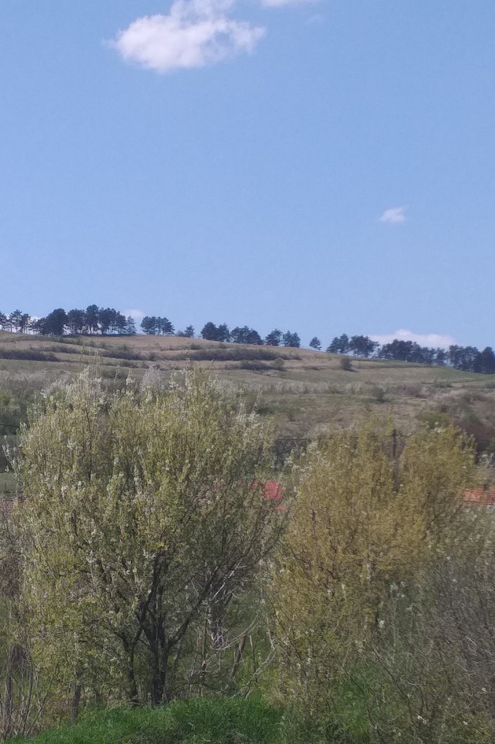 green hills