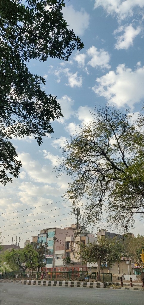 Morning Story