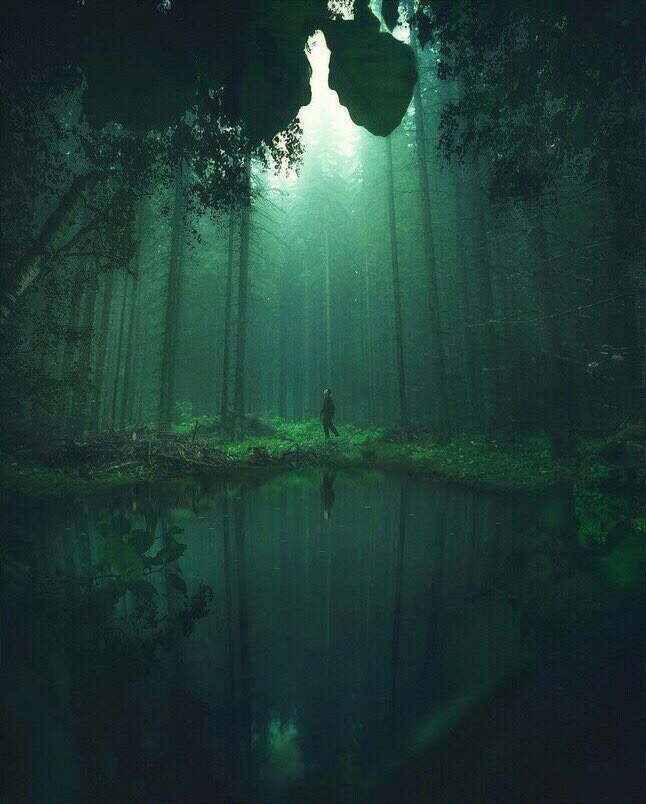Green Forest