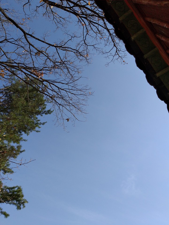 봉선사