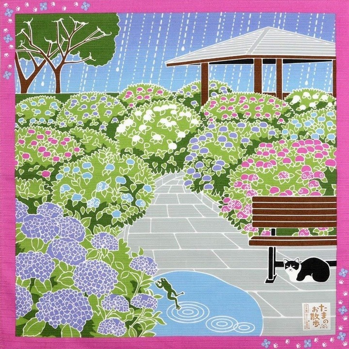 serie pañuelo gato