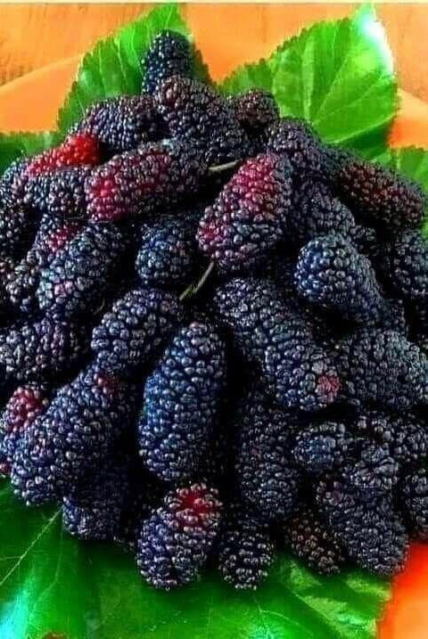 Ingredient, produce Hintergrundbilder