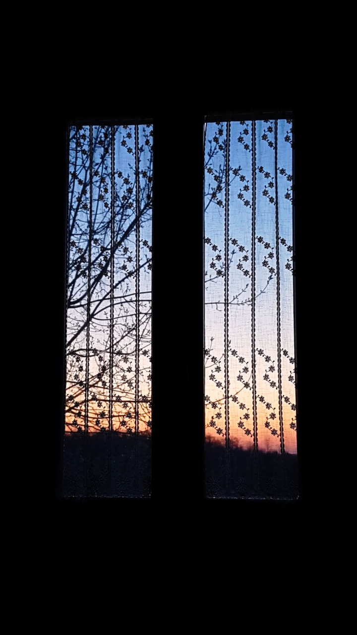 window