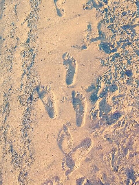 Footprints in the sand