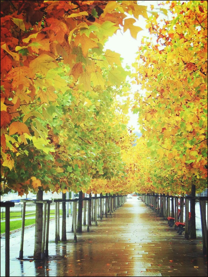 autunno