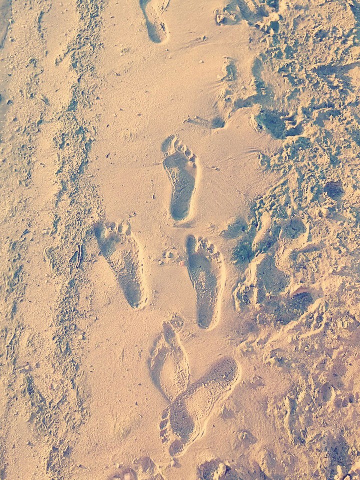 Footprints in the sand
