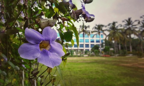 Blooming with Memories.......