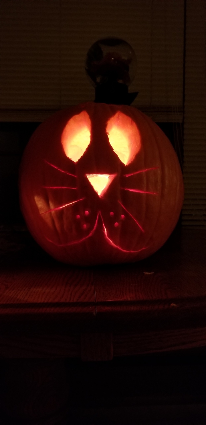 cat pumpkin