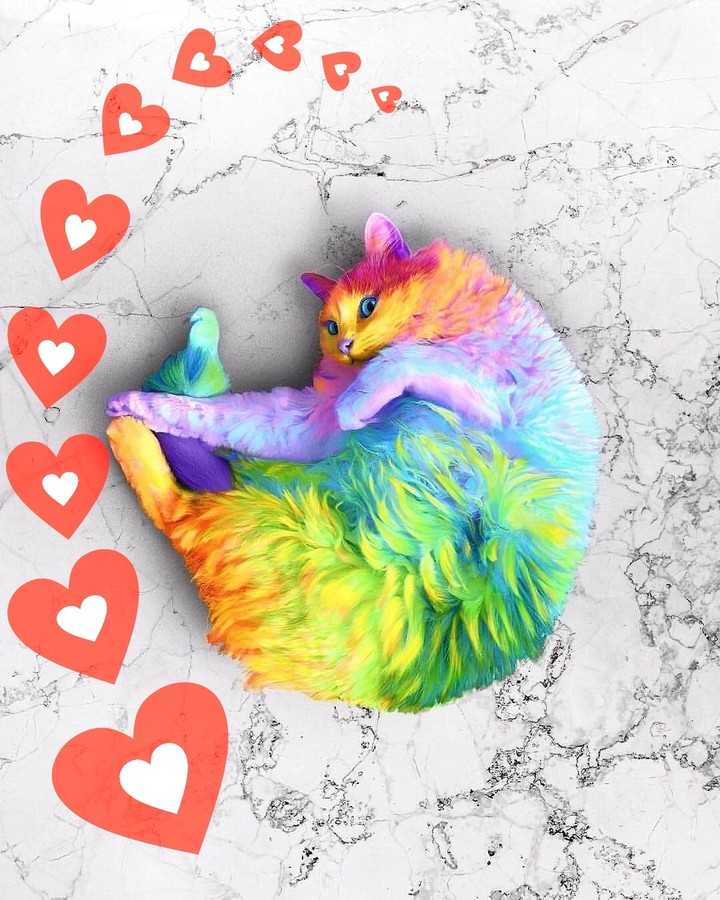 Cat lovers