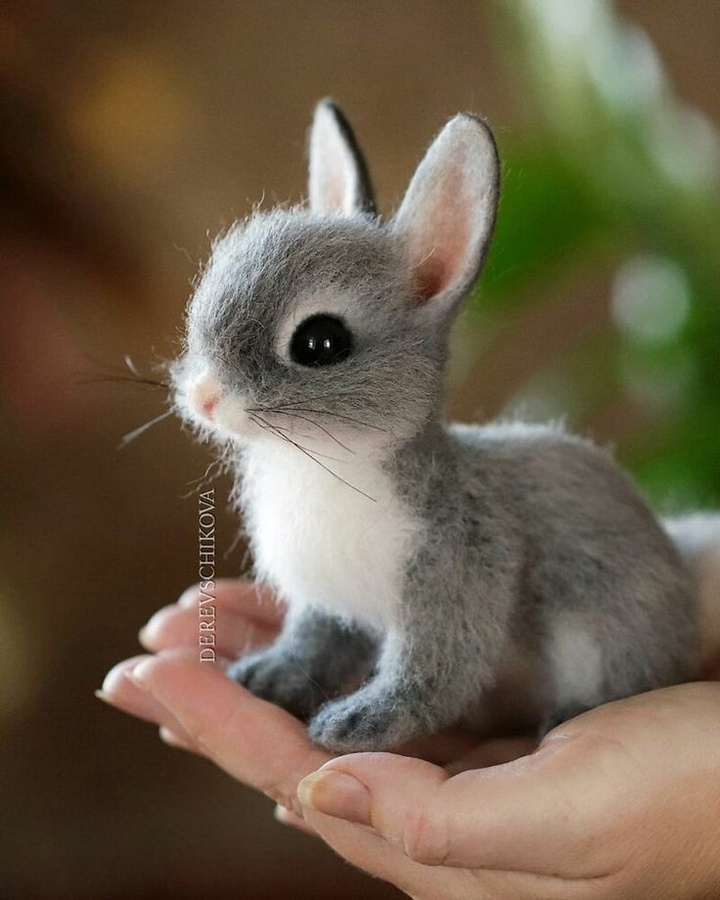 #cute