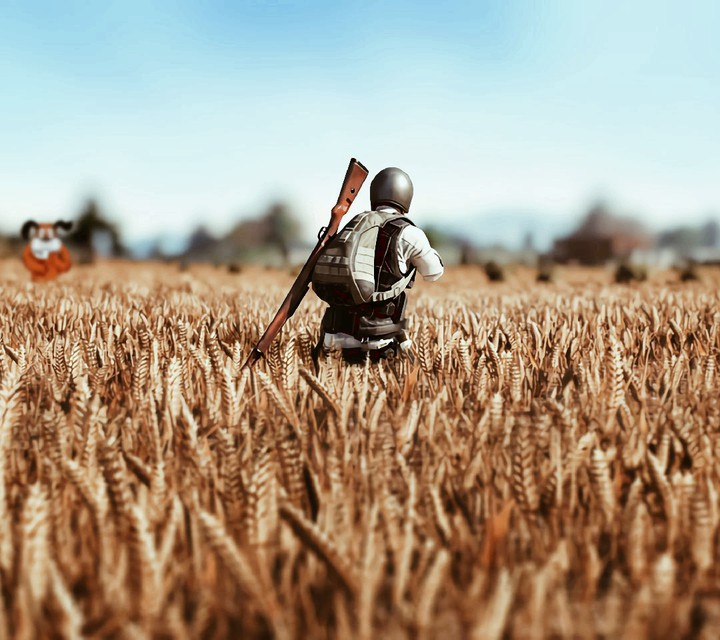 pubg